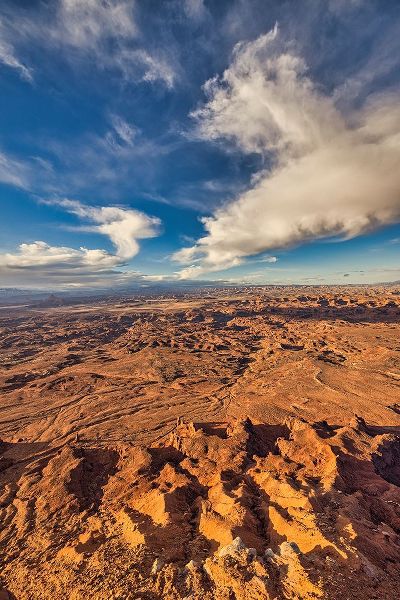 Ford, John 아티스트의 Needles Overlook-Canyonlands National Park-Utah작품입니다.